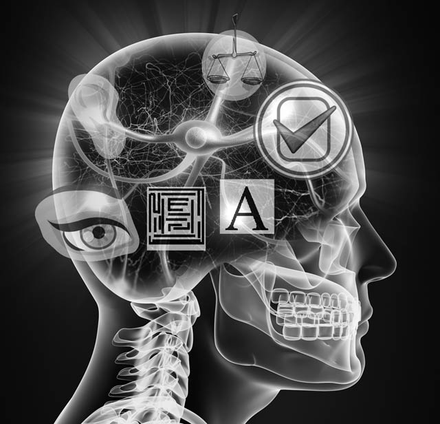 Graphic of regions of the brain where thinking occurs